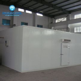 Cooling System Cold And Freezer Rooms With Glycol Secondary Refrigeration