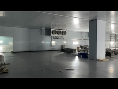 Mrożone Mięso Wołowina Kurczak Żywność morska