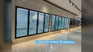 Drzwi wystawowe do chłodni sklepów monopolowych