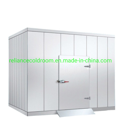 Customizable Modular Cold Storage Freezer Room for Beef Seafood Fish Shrimp -10-0C