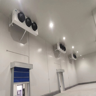 Piston and Scroll Compressor Cold Room for Vegetables Meat Fruits in Logistics Warehouse