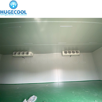 R507 Refrigerant Model Assembled Customized Design Cold Storage Freezer Room for Food Processing