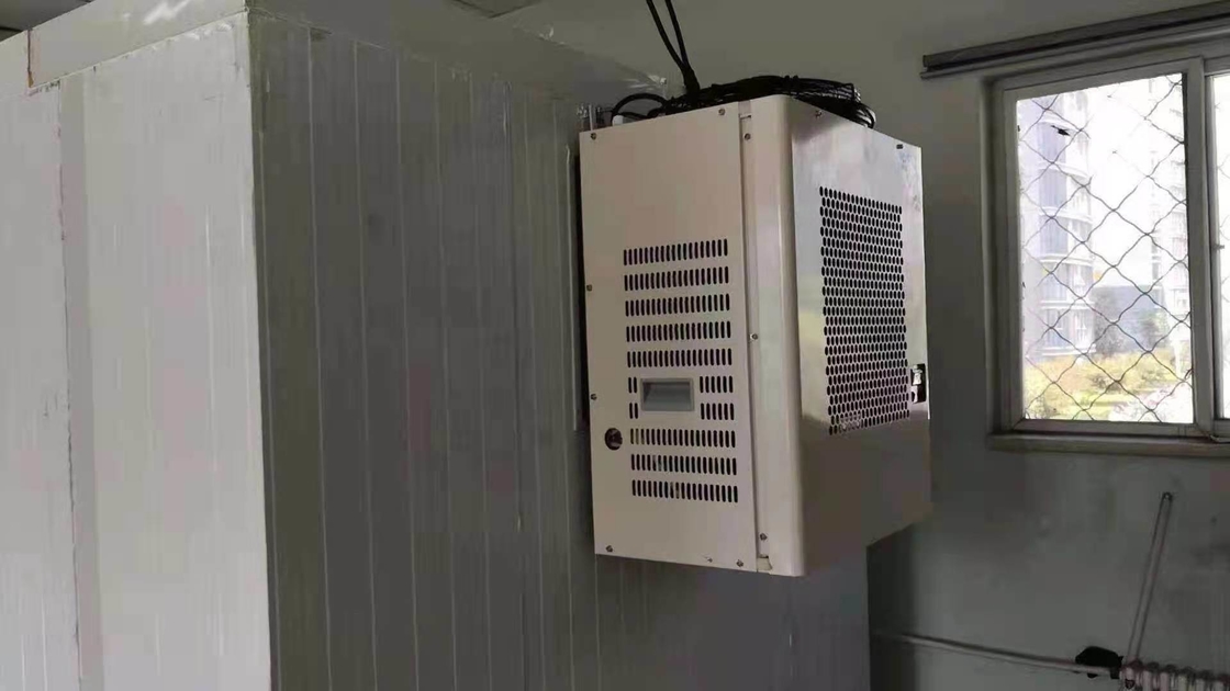 Nature Distribution 10 Low Temperature Cold Storage/Freezer Room for Meat and Fishes