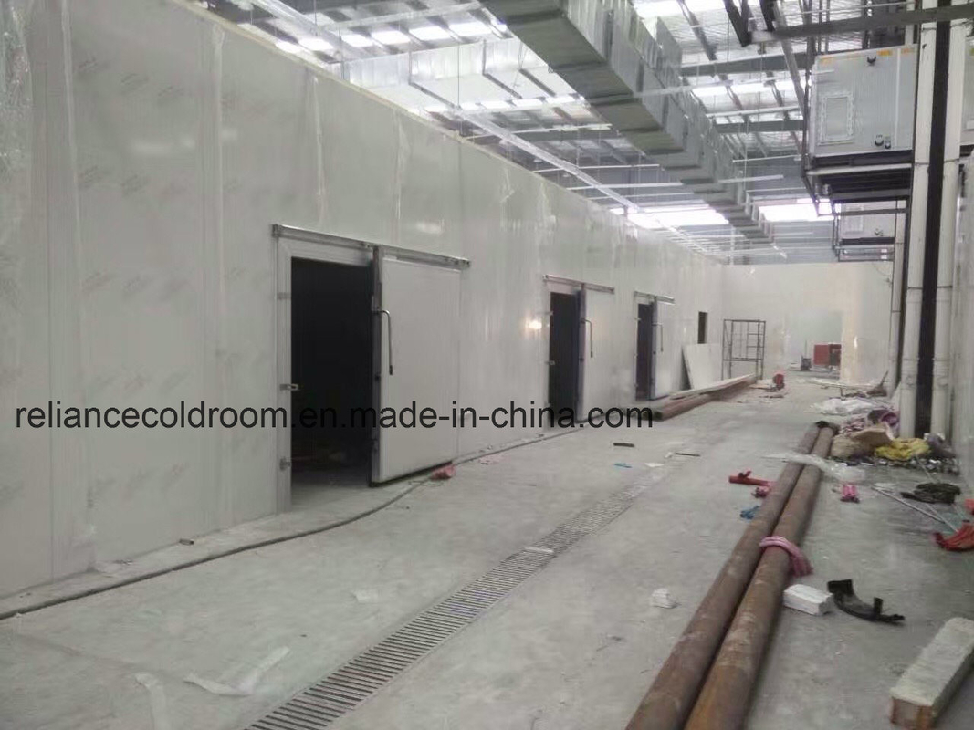 Nature Distribution 10 Low Temperature Cold Storage/Freezer Room for Meat and Fishes