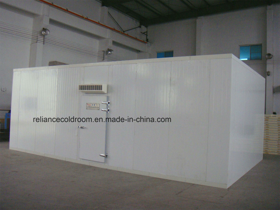 Nature Distribution 10 Low Temperature Cold Storage/Freezer Room for Meat and Fishes