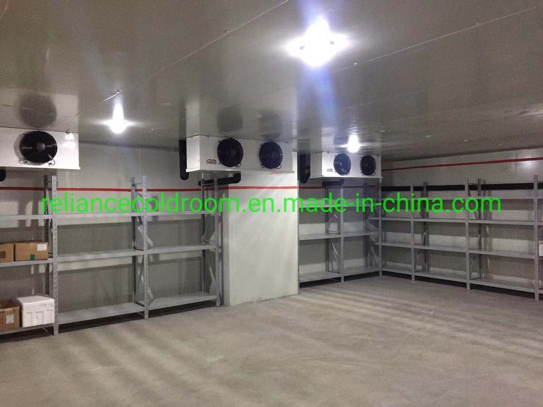 Blood-Red Deep Freezer for Fish and Pork in Cold Storage Industrial PU/XPS Panels