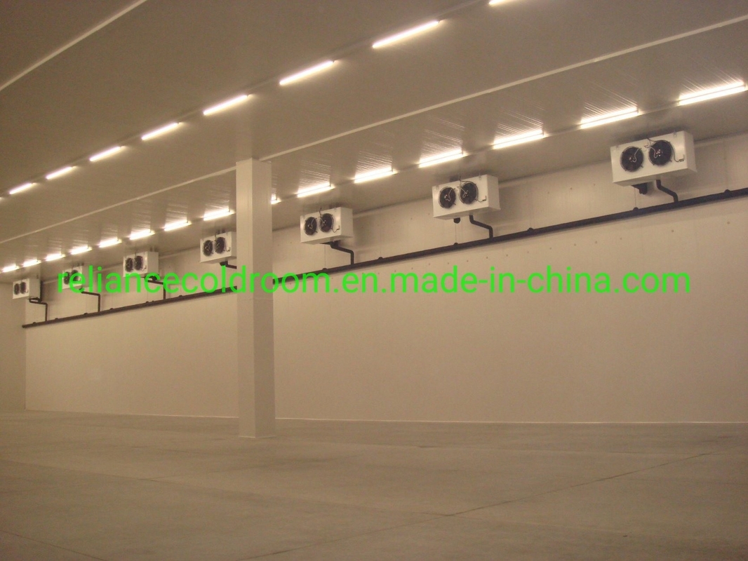 Blood-Red Deep Freezer for Fish and Pork in Cold Storage Industrial PU/XPS Panels