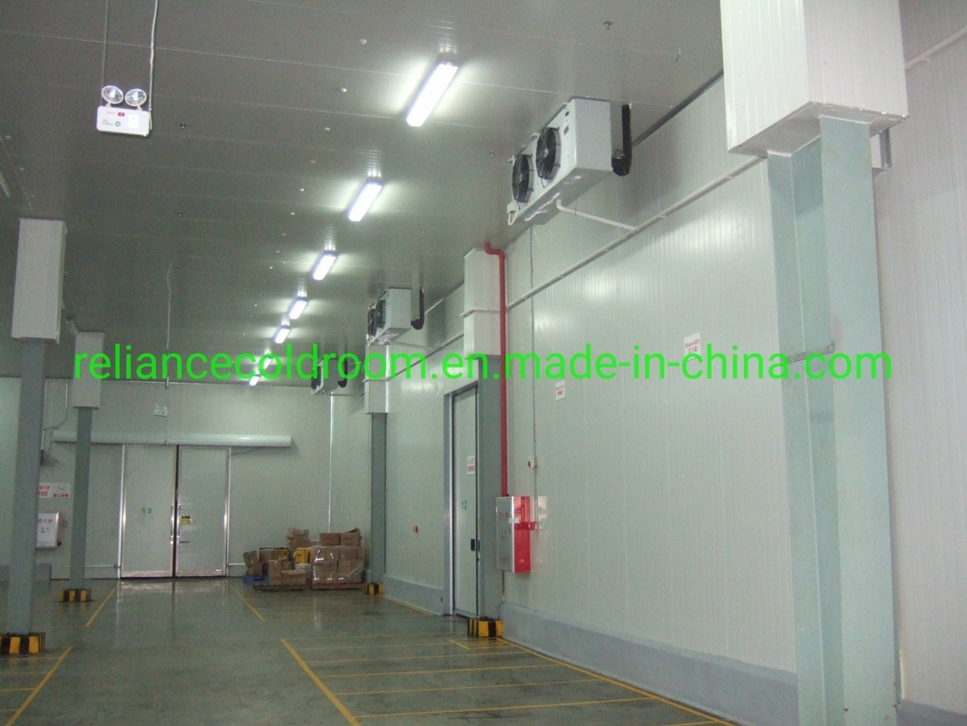 Blood-Red Deep Freezer for Fish and Pork in Cold Storage Industrial PU/XPS Panels