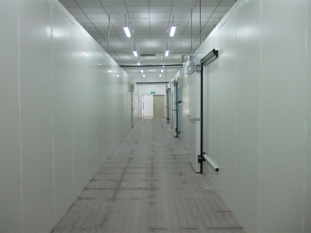 Air Cooled Walk in Chiller Freezer for Vegetables and Fruit Customizable Cooling Room