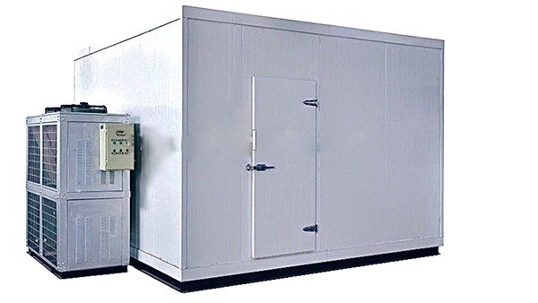 Cold Room Manufacturers for Customized Pineapple Storage and Food Beverage Industry