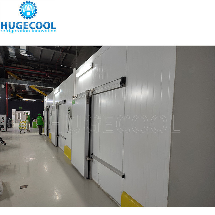 Cold Room Manufacturers for Customized Pineapple Storage and Food Beverage Industry