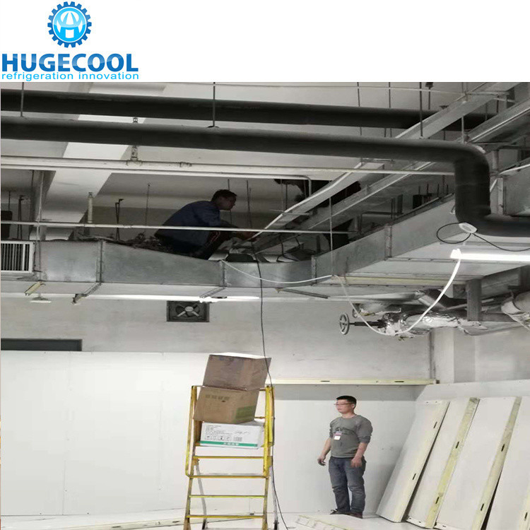 Hinged Door Cheese Cold Storage Room with Advanced Cooling and Assembled Structure