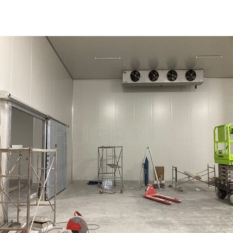 Piston and Scroll Compressor Cold Room for Vegetables Meat Fruits in Logistics Warehouse