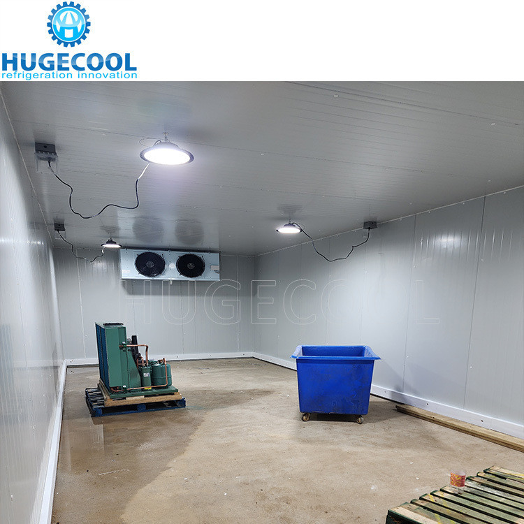 Assembled Logistic Warehouse Cold Room with Roll up Door Voltage 220V/380V/400V/440V