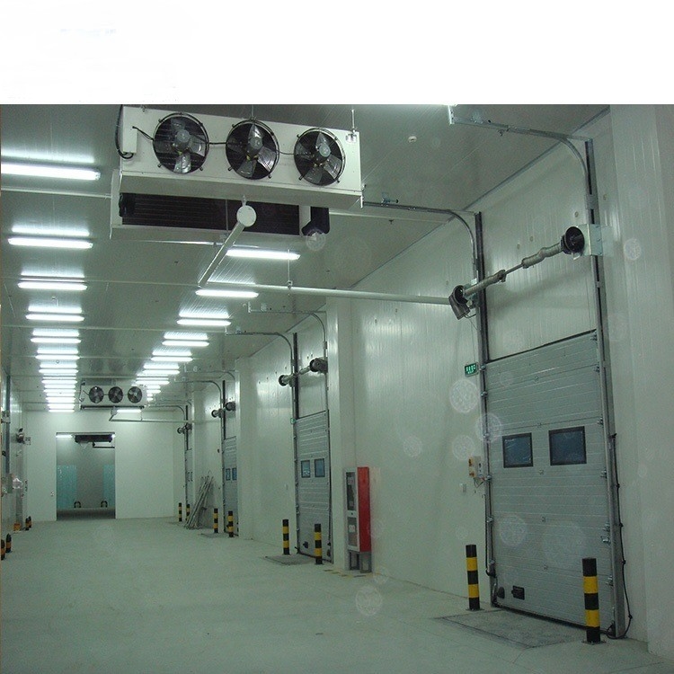 Assembled Logistic Warehouse Cold Room with Roll up Door Voltage 220V/380V/400V/440V