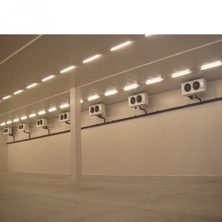 Assembled Logistic Warehouse Cold Room with Roll up Door Voltage 220V/380V/400V/440V