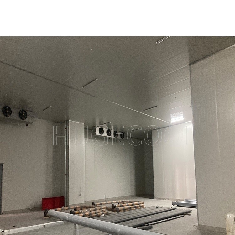 Assembled Logistic Warehouse Cold Room with Roll up Door Voltage 220V/380V/400V/440V