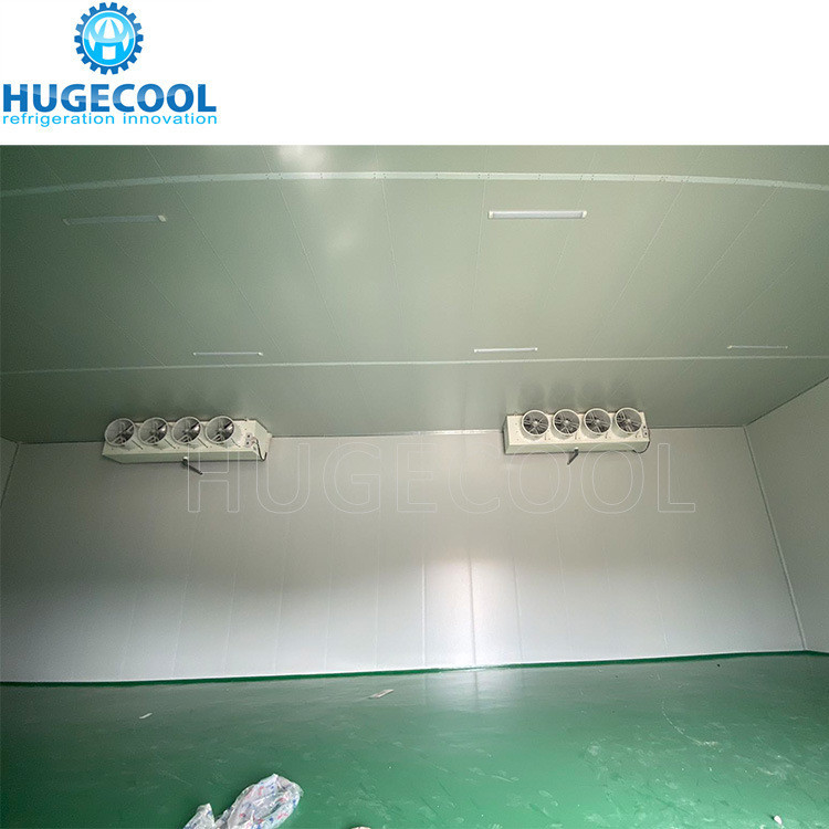 R507 Refrigerant Model Assembled Customized Design Cold Storage Freezer Room for Food Processing