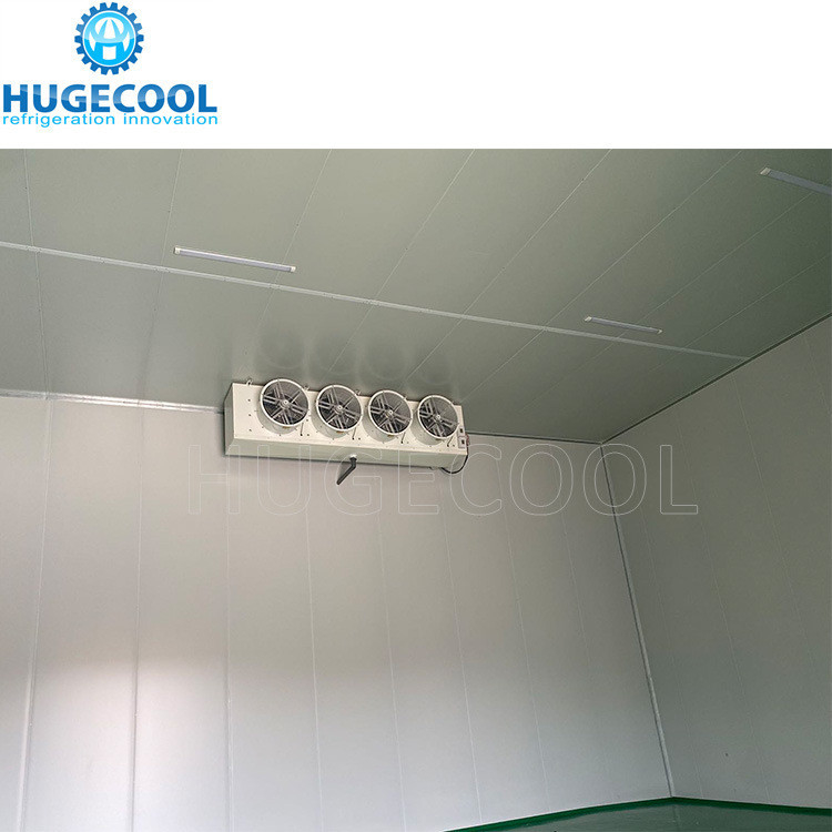 R507 Refrigerant Model Assembled Customized Design Cold Storage Freezer Room for Food Processing