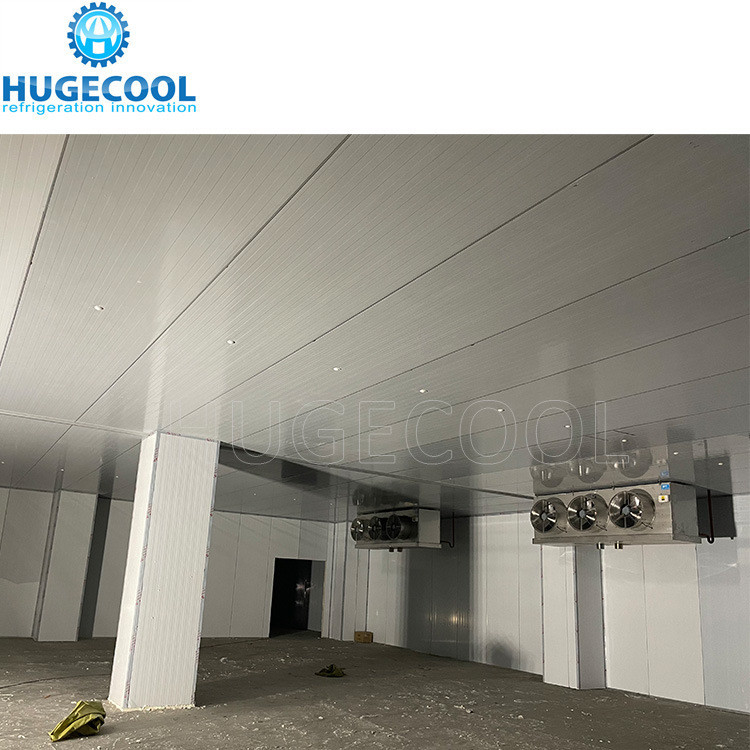 R507 Refrigerant Model Assembled Customized Design Cold Storage Freezer Room for Food Processing