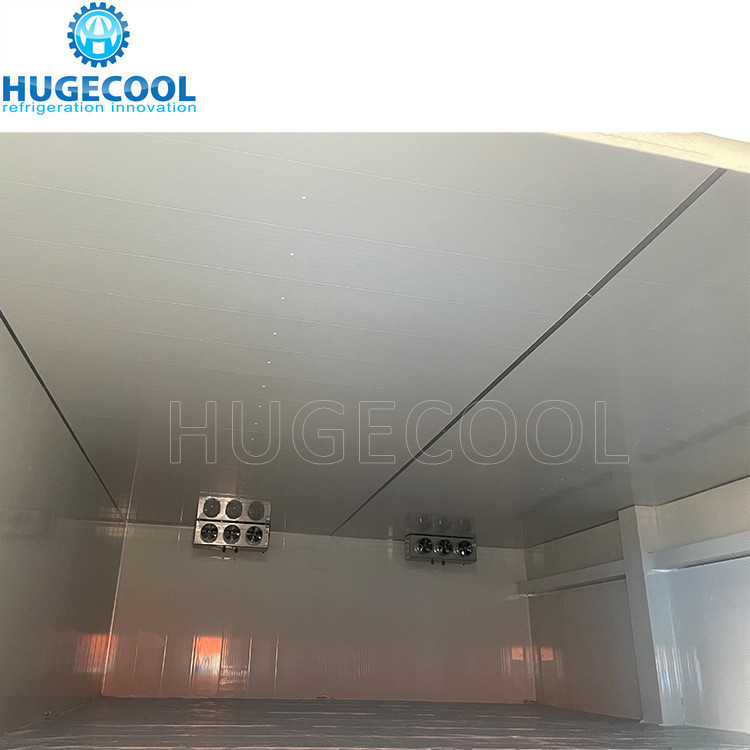 R507 Refrigerant Model Assembled Customized Design Cold Storage Freezer Room for Food Processing