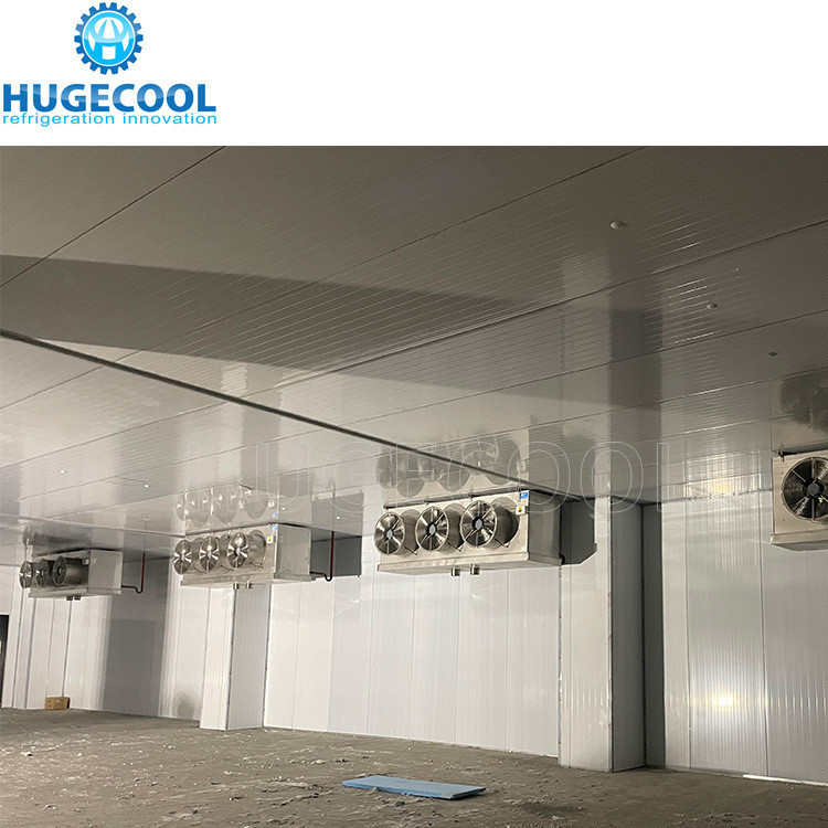 R507 Refrigerant Model Assembled Customized Design Cold Storage Freezer Room for Food Processing