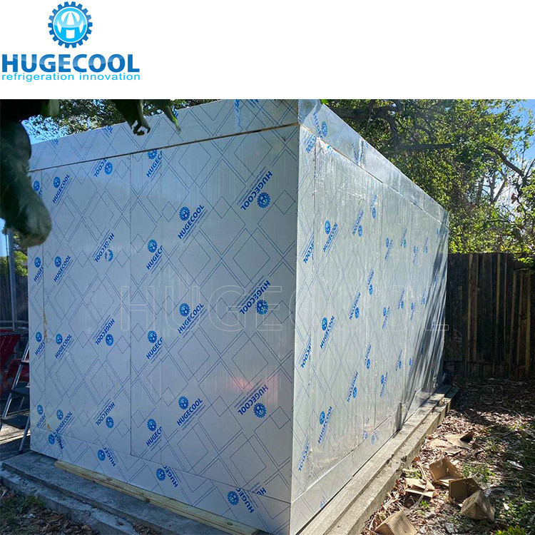 50 Tons Capacity Cold Room for Frozen Fish Walk in Freezer Customized Request Accepted