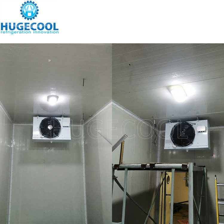 50 Tons Capacity Cold Room for Frozen Fish Walk in Freezer Customized Request Accepted
