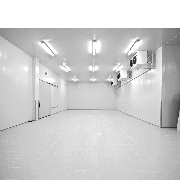 Assembled Structure High Density Foam Polyurethane Sandwich Panel for Food Processing