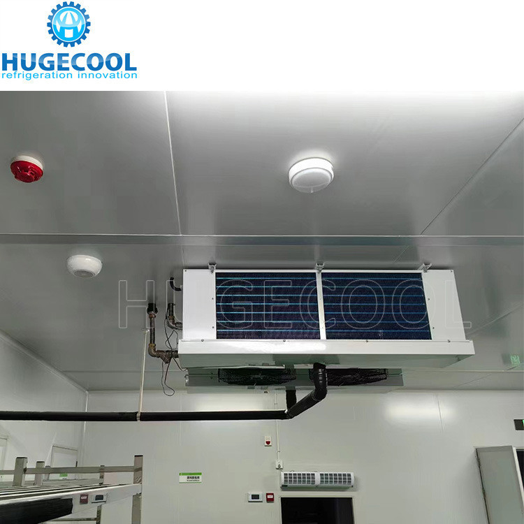 PU Sandwich Panel Insulation Cold Storage for Frozen Food in Big Freezer Room