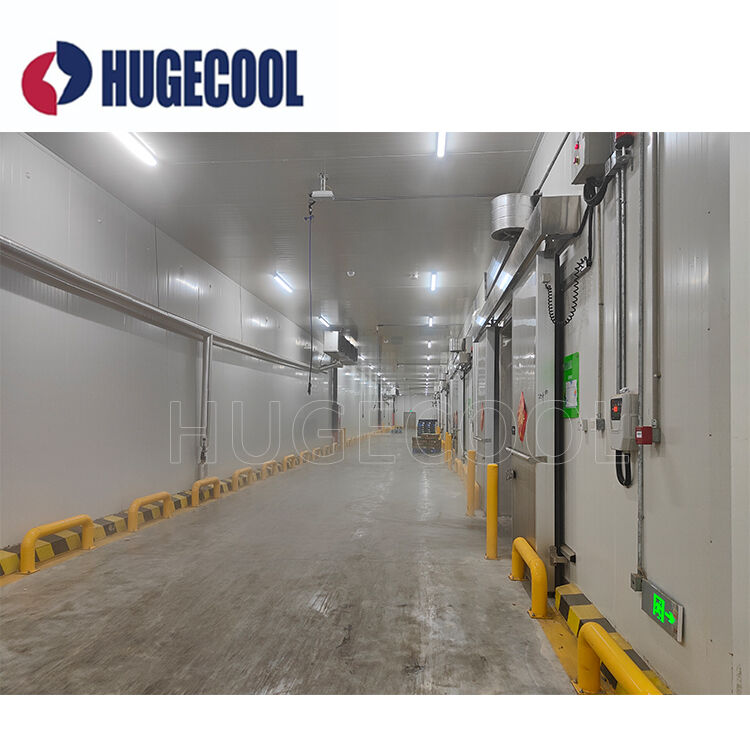 Customer Made Freezer Cold Room Walk in Freezer Featuring Water Cooled Cooling Type and Customization Size